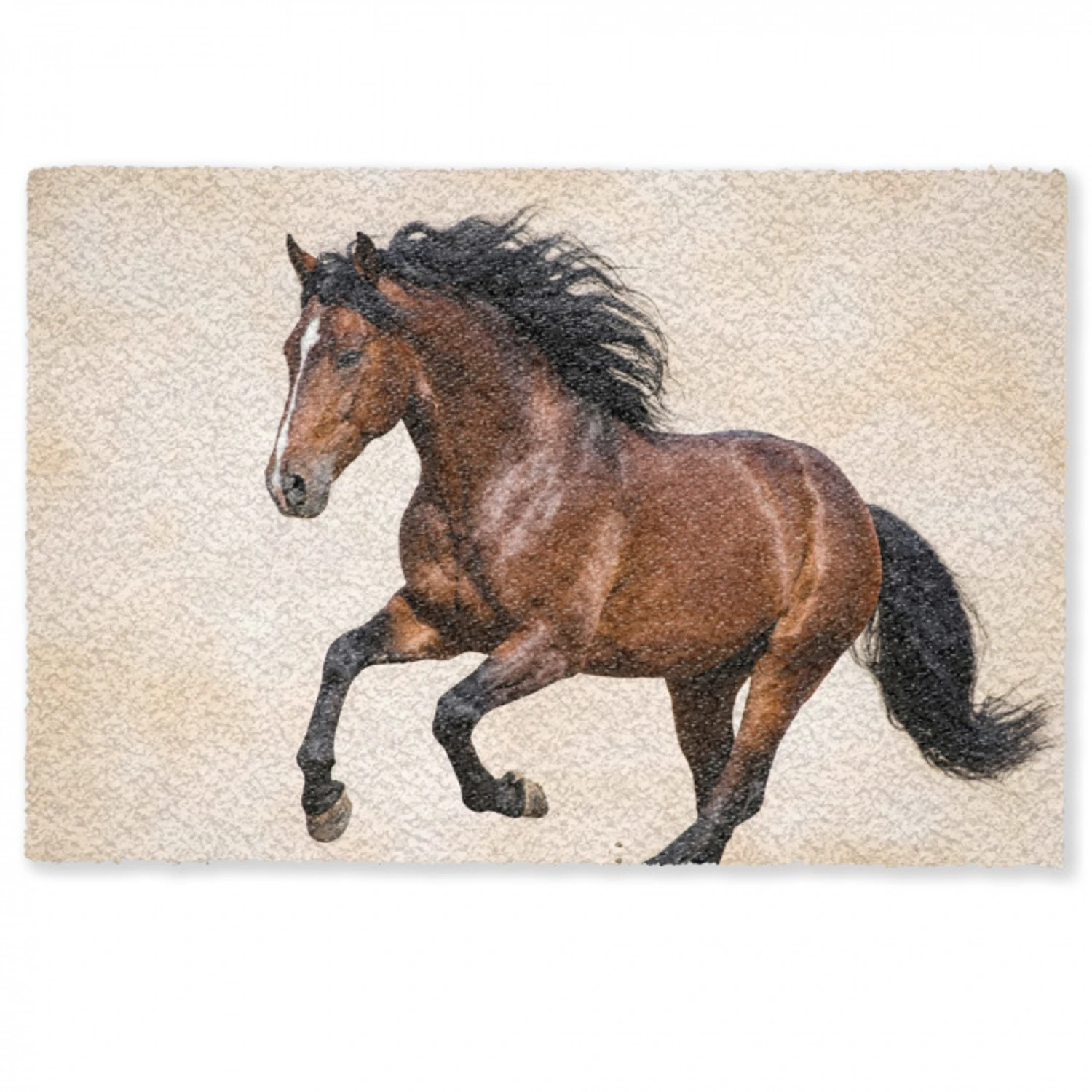 Paard - Galop - Energie Deurmat klein -zkaufland3d