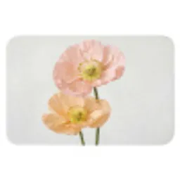 Papavers - Botanisch - Roze Badmat klein -3d