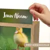 Kuiken - Eend - Geel - Gras Light Box met kabel (Kinderlampje) klein -USP_websiteprintNL