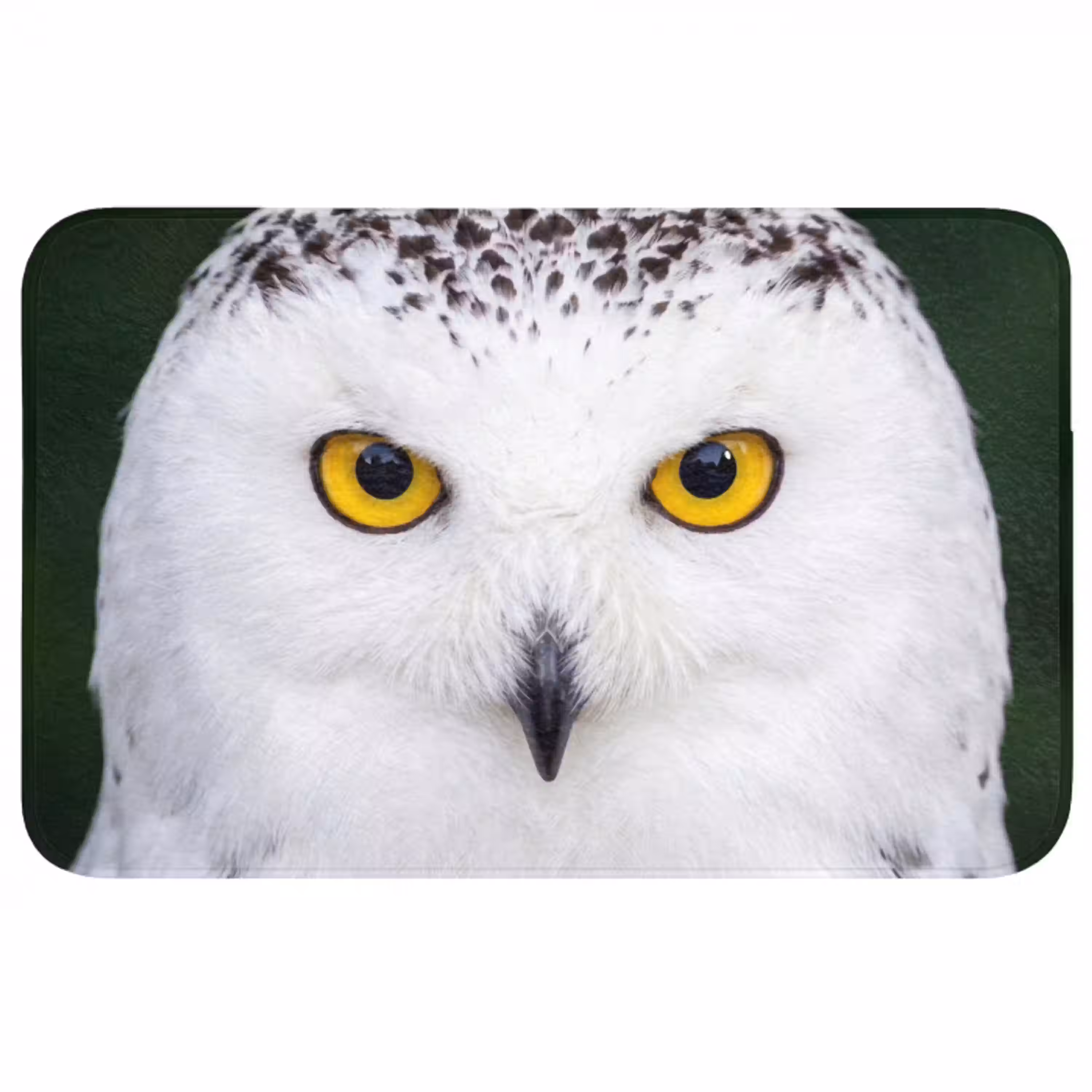 Sneeuwuil - Portret - Geel Badmat middel -3d
