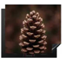 Dennenappel - Bos - Herfst - Bruin - Sfeervol Inductie beschermer vinyl 3mm middel -3d