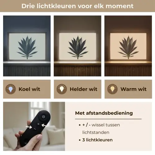 Agaveplant - Symmetrisch - Groen Light Box met batterij (Wandlamp) middel -USP_lichtkleurNL
