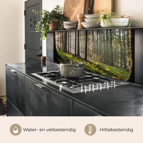 Zon - Takken - Bomen - Bos - Natuur keuken achterwand 2 middel -usp_NL