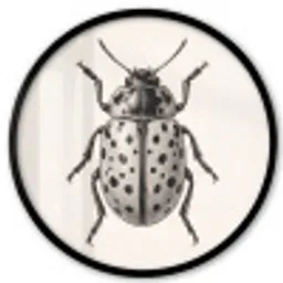 Kever - Insect - Vintage Fotolijst rond zonder passe partout klein -3d