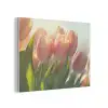 Tulpen - Roze - Zonnestralen PET vilt klein -3d