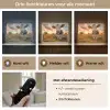 Koe - Weiland - Dieren portret - Natuur - Koeien Light Box met batterij (Wandlamp) middel -USP_lichtkleurNL