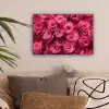Rozen - Pink - Bloem canvas 2cm klein -sfeer1