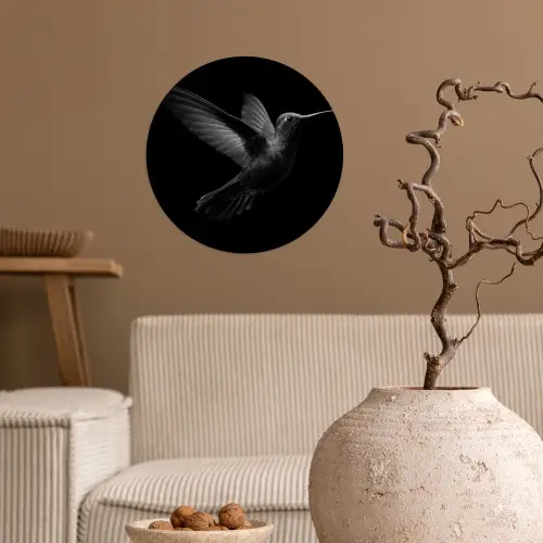 Kolibrie - Zwart - Dieren Wandcirkel behangsticker klein -sfeer1