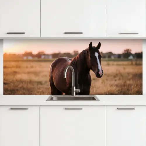 Paard - Zonsondergang - Bruin keuken achterwand 2 middel -3d