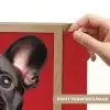 Amor - Hond  - Hartje - Rood Light Box met batterij (Wandlamp) middel -USP_websiteprintNL