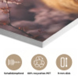 Schotse hooglander - Lente - Hooglanden PET vilt klein -closeup_DE
