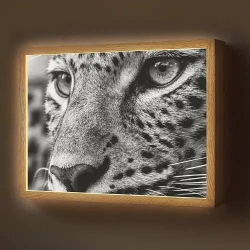 Luipaard - Zwart - Wit - Oog Light Box met batterij (Wandlamp) middel -z3d_website