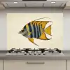 Vis - Sierlijk - Vinnen - Illustratie keuken achterwand spatscherm klein -3d_website