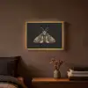 Mot - Bladachtig - Grijs Light Box met batterij (Wandlamp) middel -sfeer4