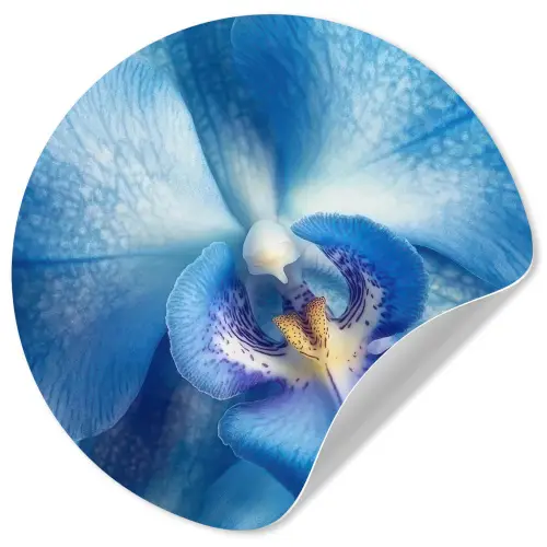 Blauw - Orchidee - Elegeant Wandcirkel behangsticker klein -3d