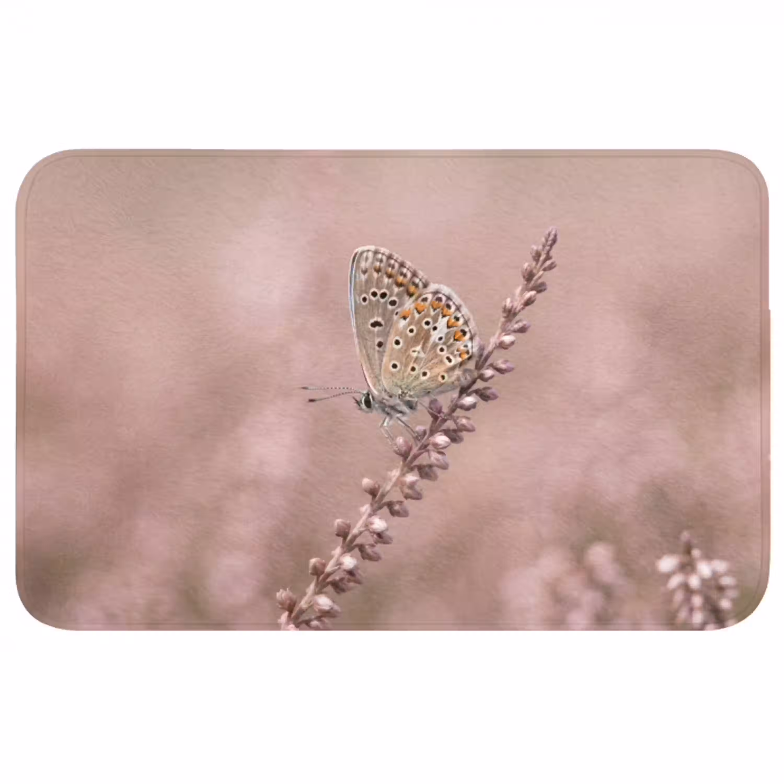 Lavendel - Vlinder - Paars Badmat middel -3d