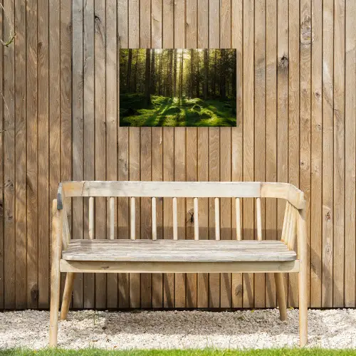 Bomen - Bos - Mos - Planten - Zon - Natuur Tuinposter op houten frame 2 cm dik klein -sfeer4