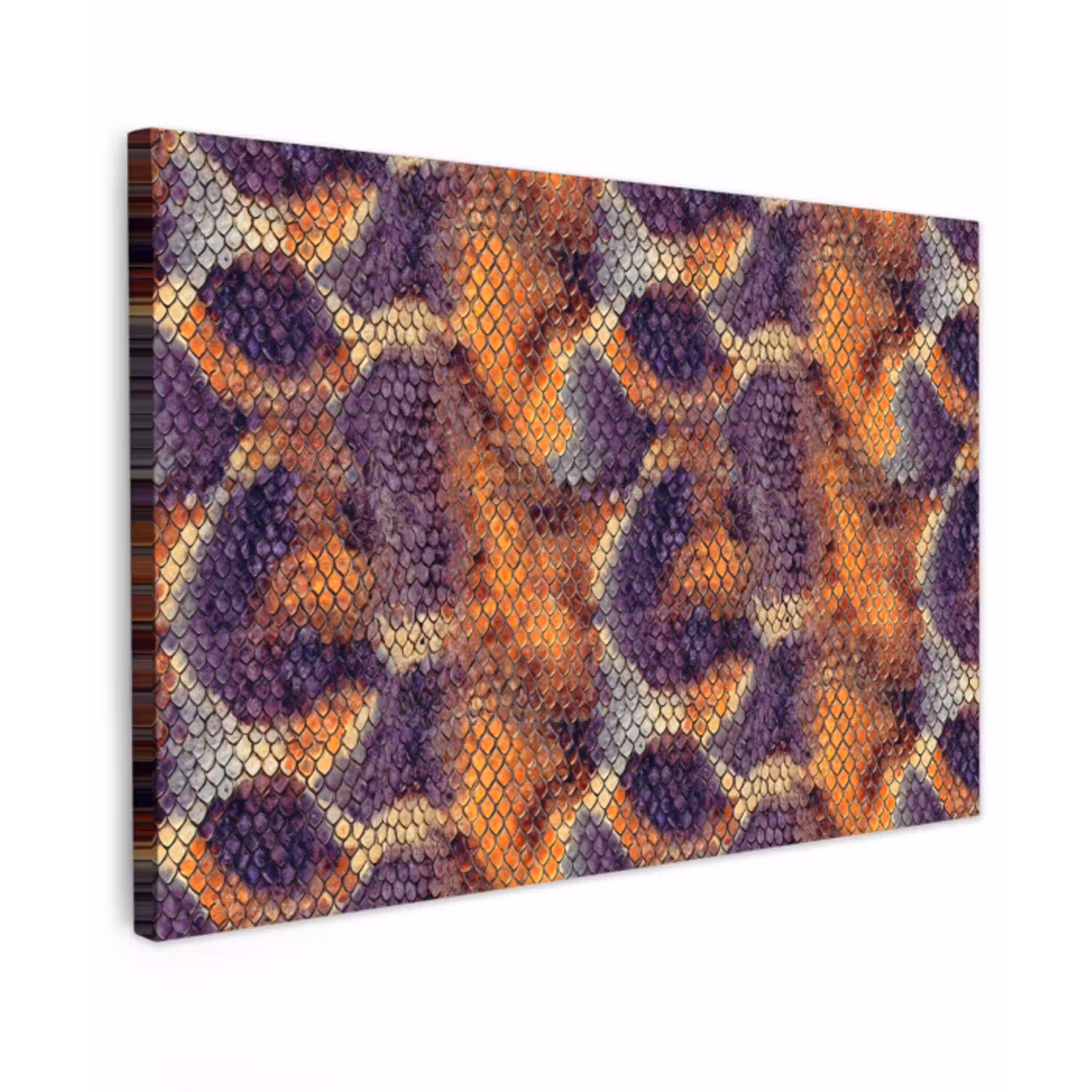 Slang - Kleurrijk - Schubben canvas 2cm klein 34 -z3d