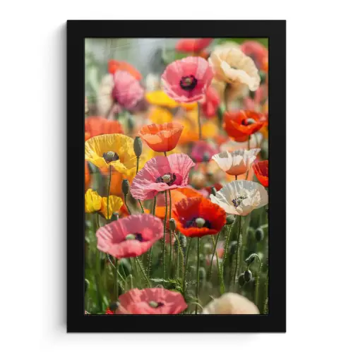 Bloemenveld - Klaprozen - Kleurrijk fotolijst zwart zonder passe partout klein -3d