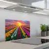 Tulpenveld - Zonsondergang - Kleurrijk keuken achterwand spatscherm klein -3d_schuin