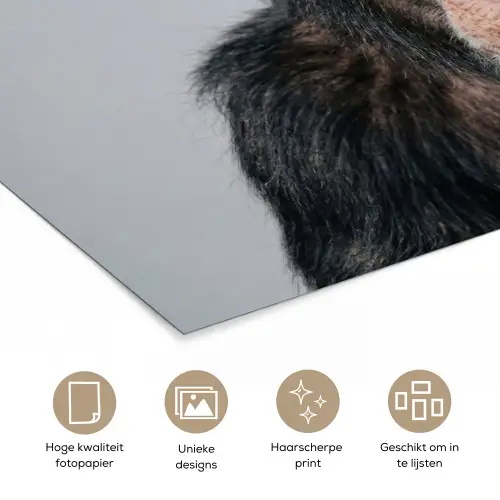 Chimpansee - Badeend - Grijs poster papier klein -closeup_NL