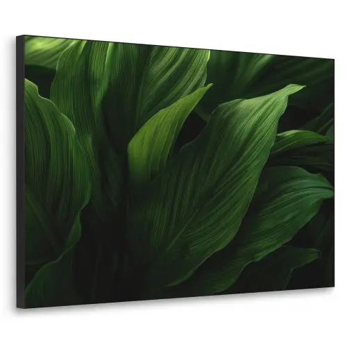 Bladeren - Schaduw - Groen - Textuur Textielframe zwart klein -3d