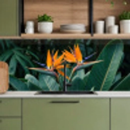 Paradijsvogel - Bloem - Exotisch keuken achterwand 2 middel -sfeer3