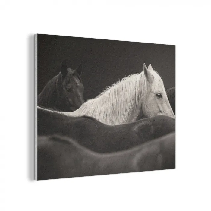 Paarden - Zwart - Wit - Kudde PET vilt klein -3d