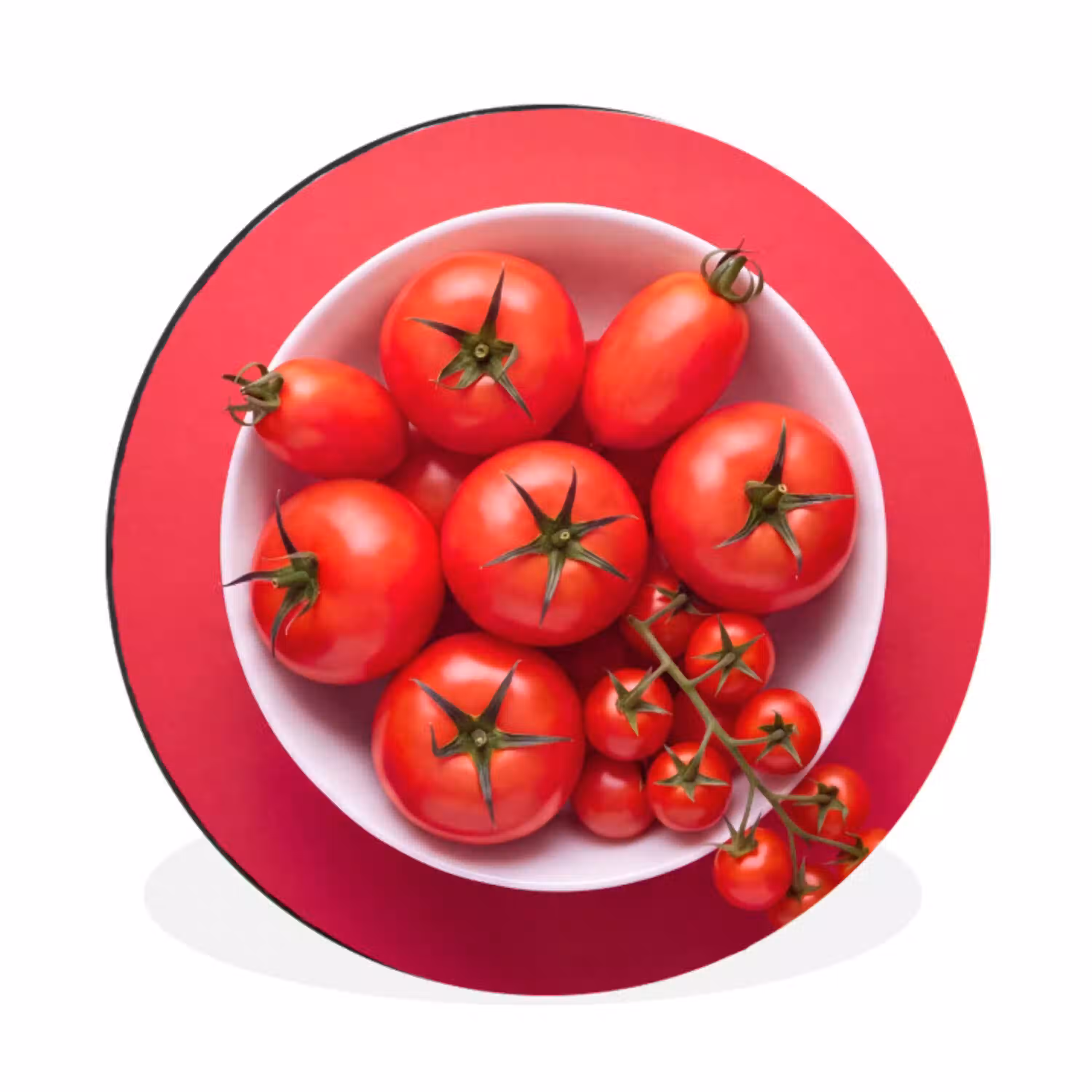 Eten - Kom - Rood Wandcirkel aluminium klein -3d