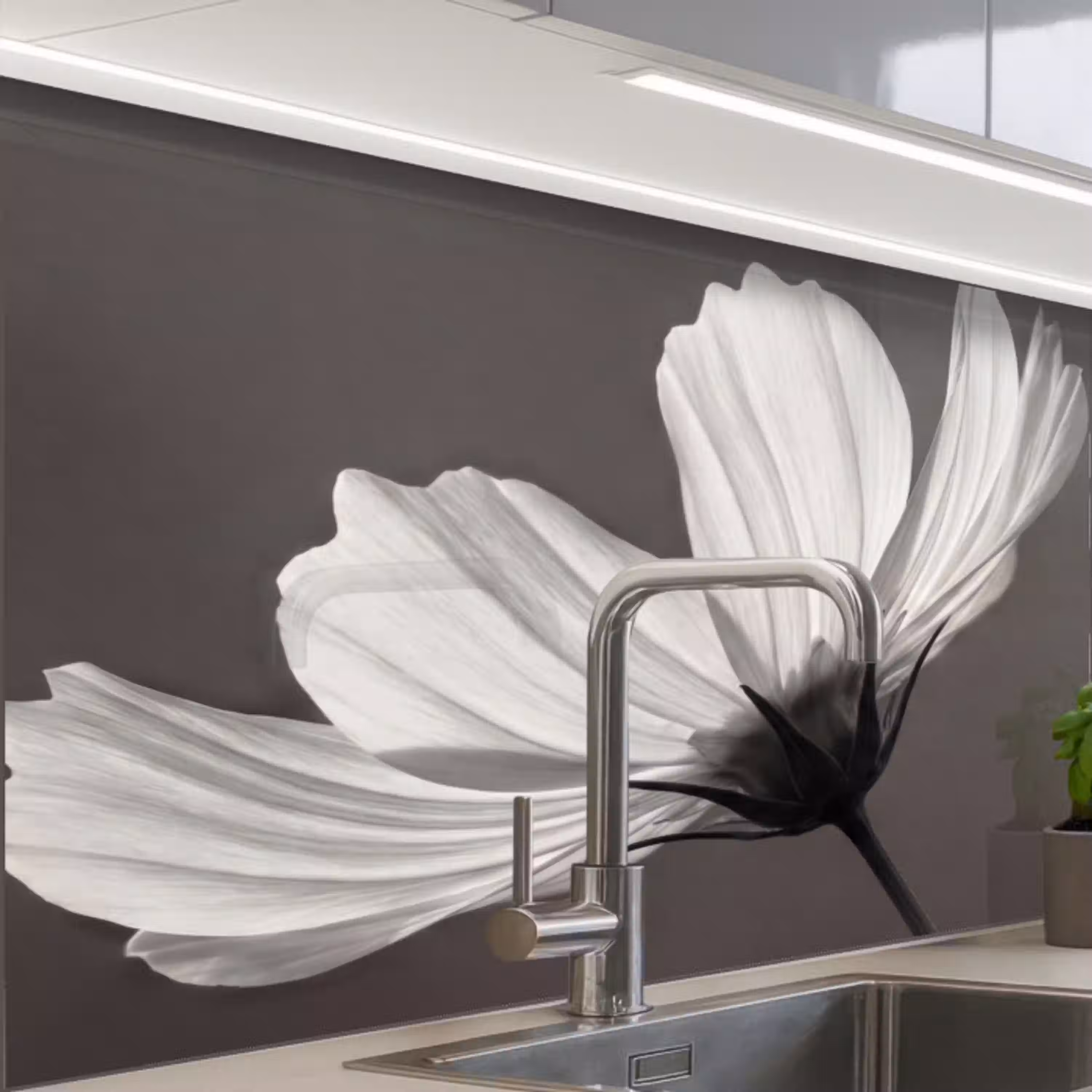Bloem - Minimalistisch - Zwart - Wit keuken achterwand 2 middel -zzzz3d_schuin