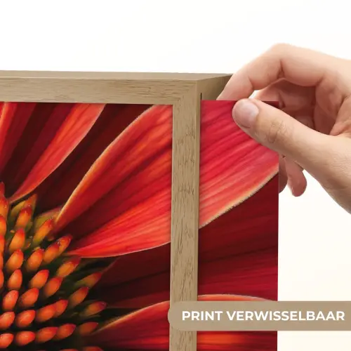 Close up - Bloem- Rood Light Box met batterij (Wandlamp) middel -USP_websiteprintNL