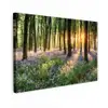 Bos - Natuur - Bloemen - Zon - Boom - Paars canvas 2cm klein -z3d