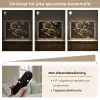 Rozen - Goud - Zwart - Bloemen - Modern Light Box met batterij (Wandlamp) middel -USP_dimbaarNL