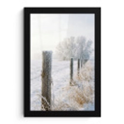 Hek - Sneeuw - Mist - Platteland - Nostalgisch fotolijst zwart zonder passe partout klein -3d