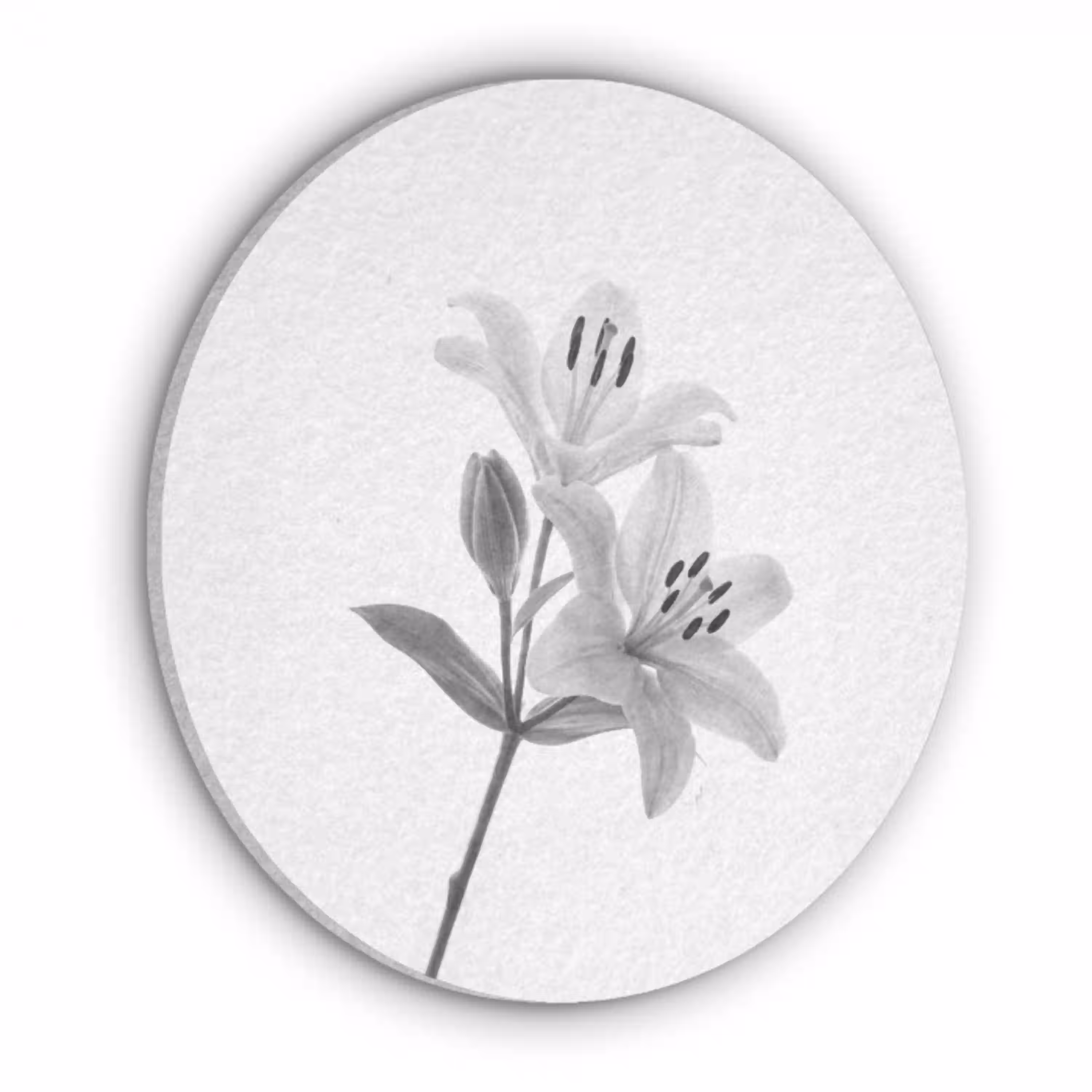 Lelies - Elegant - Zwart - Wit Akoestische PET Vilt - Rond klein -3d