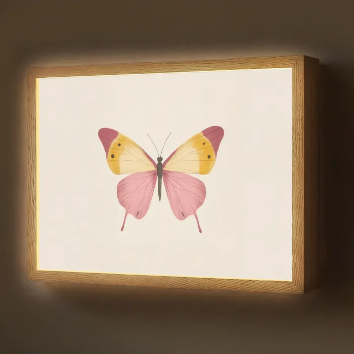 Vlinder - Illustratie - Roze Light Box met batterij (Wandlamp) middel -z3d_website