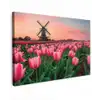 Tulpen - Molen - Nederland Tuinposter op houten frame 2 cm dik klein -3d