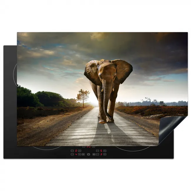 Reiziger bij Zonsopgang Inductie beschermer vinyl 3mm klein -3d