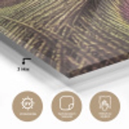 Pauw - Veren - Paars - Groen plexiglas 5mm klein -wsfeer2_DE
