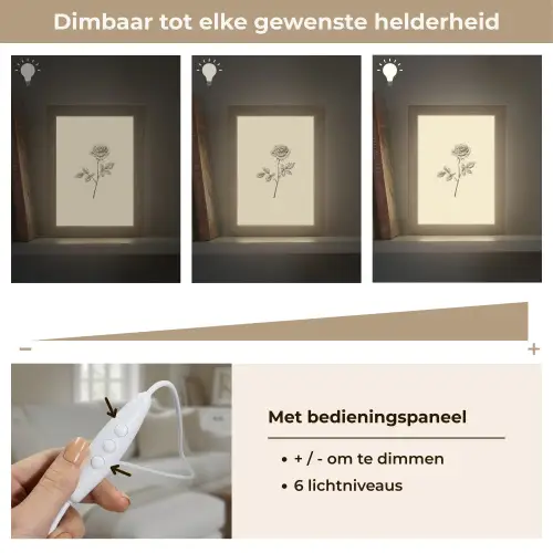 Illustratie - Zwart - Roos Light Box met kabel (Tafellamp) klein -USP_dimbaarNL