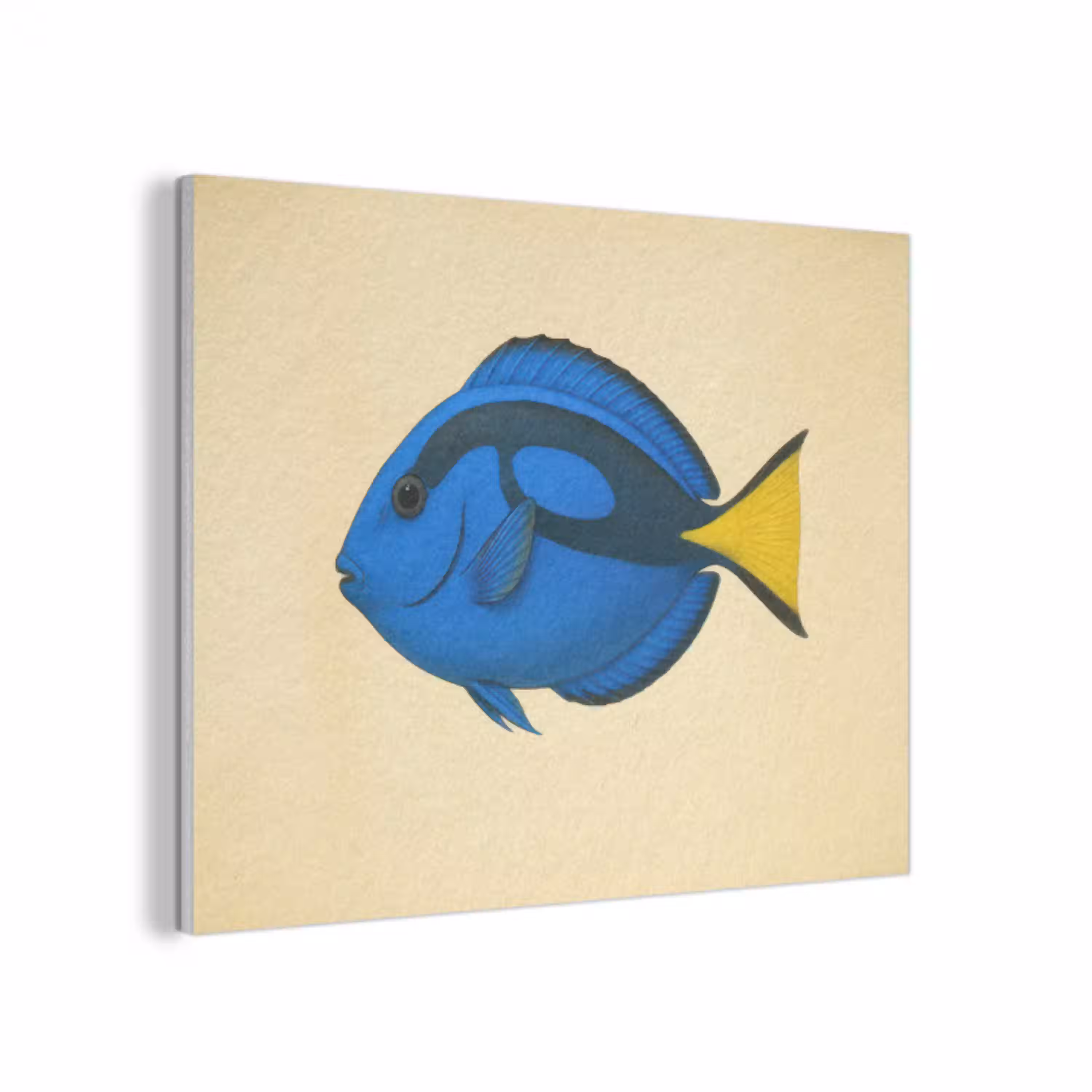 Blauw - Dory - Vis - Staartvin PET vilt klein -3d