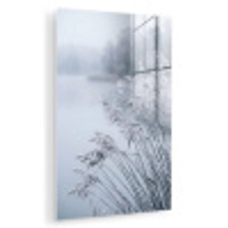 Riet - Bevroren - Winter - Natuur plexiglas 5mm klein -zzzproduct_nieuw