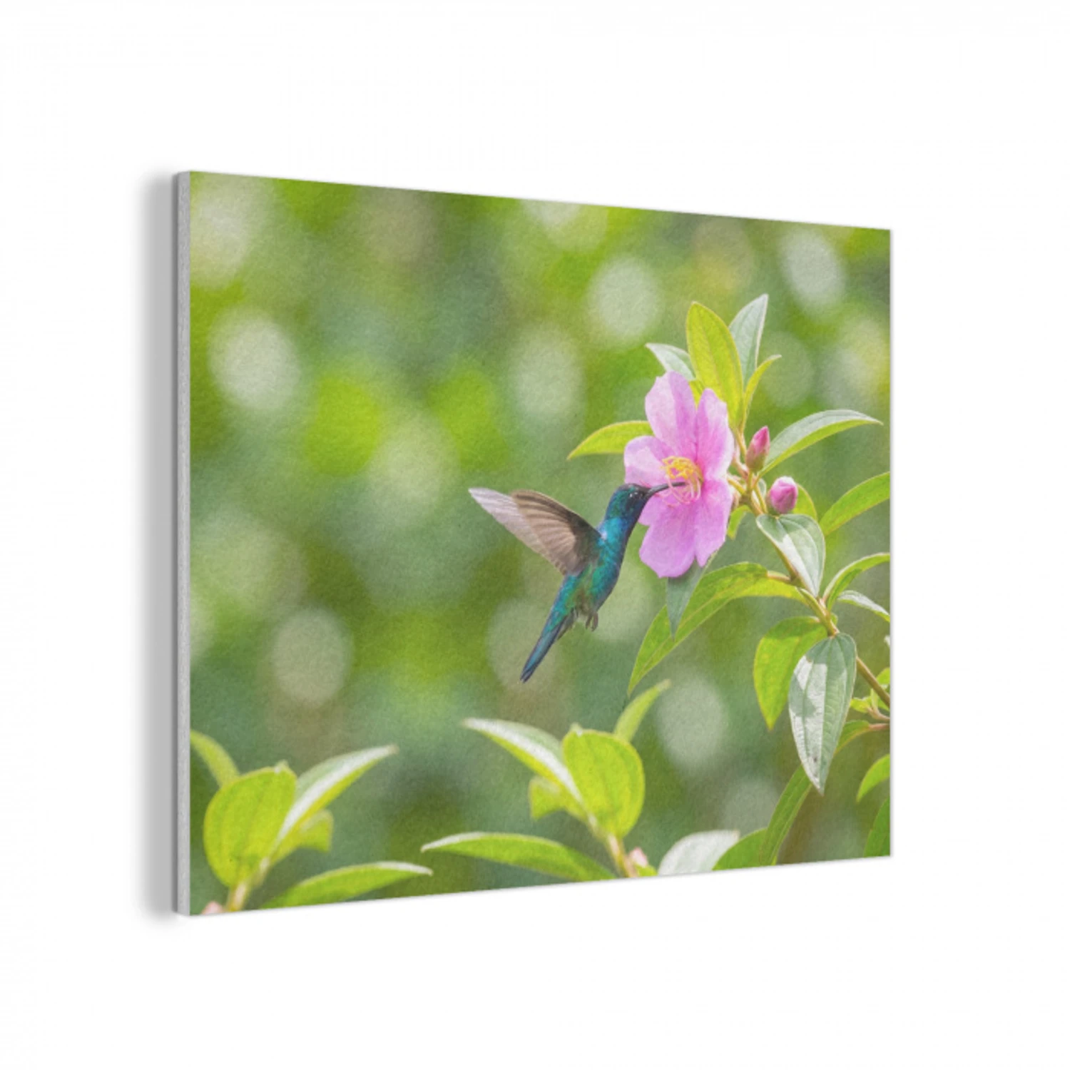 Kolibrie - Bloem - Natuur - Groen PET vilt klein -3d