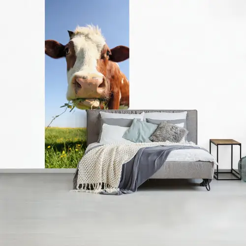Koe - Dieren - Bloemen - Gras fotobehang vinyl groot -slaapkamer