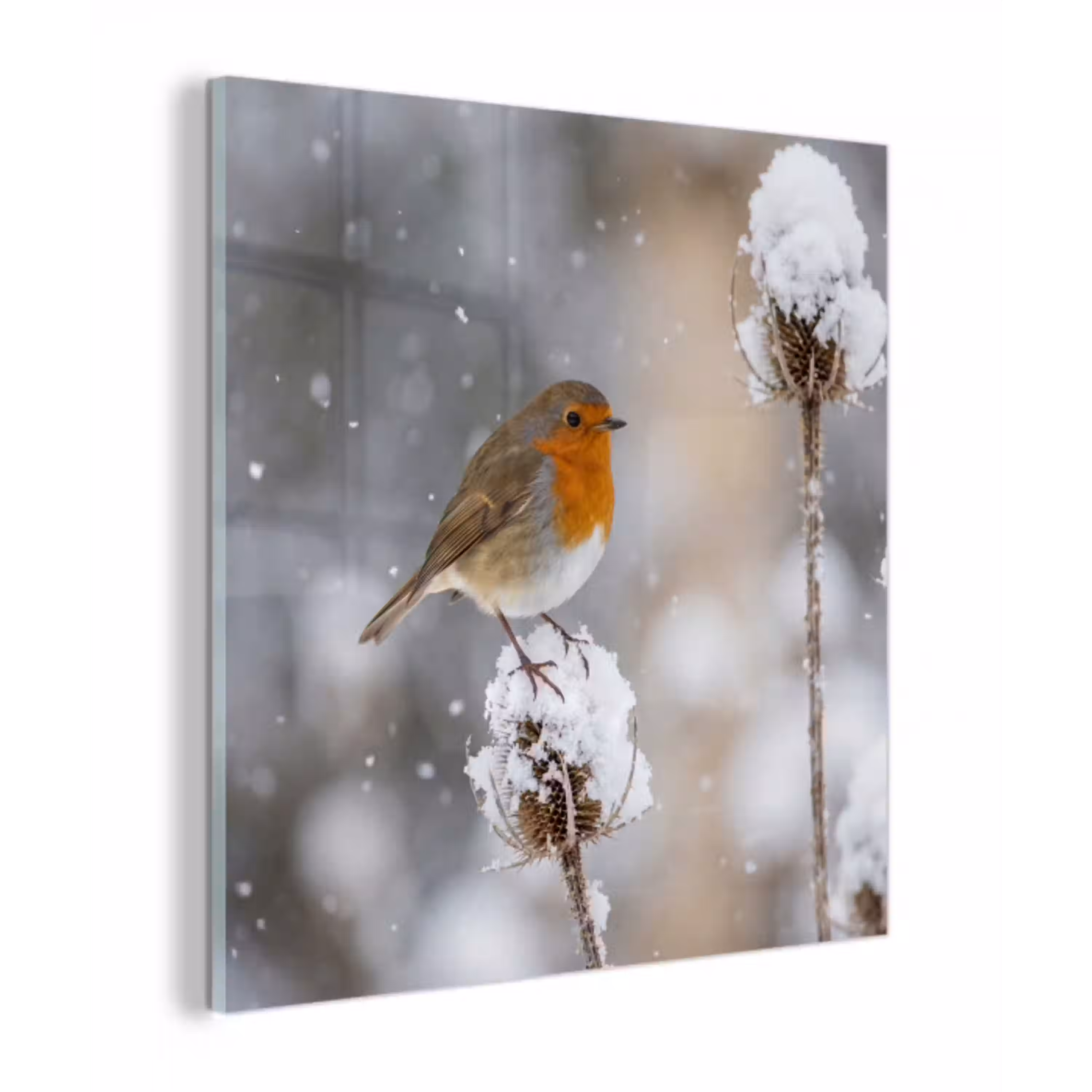 Roodborstje - Gedroogde bloem - Sneeuw - Winter - Vertederend plexiglas 5mm klein -z3d