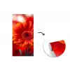 Oranje - Gerbera - Intens fotobehang vinyl groot -3d