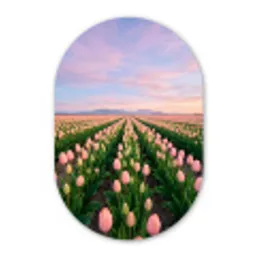 Tulpen - Landschap - Roze Wandcirkel Ovaal Aluminium middel -3d