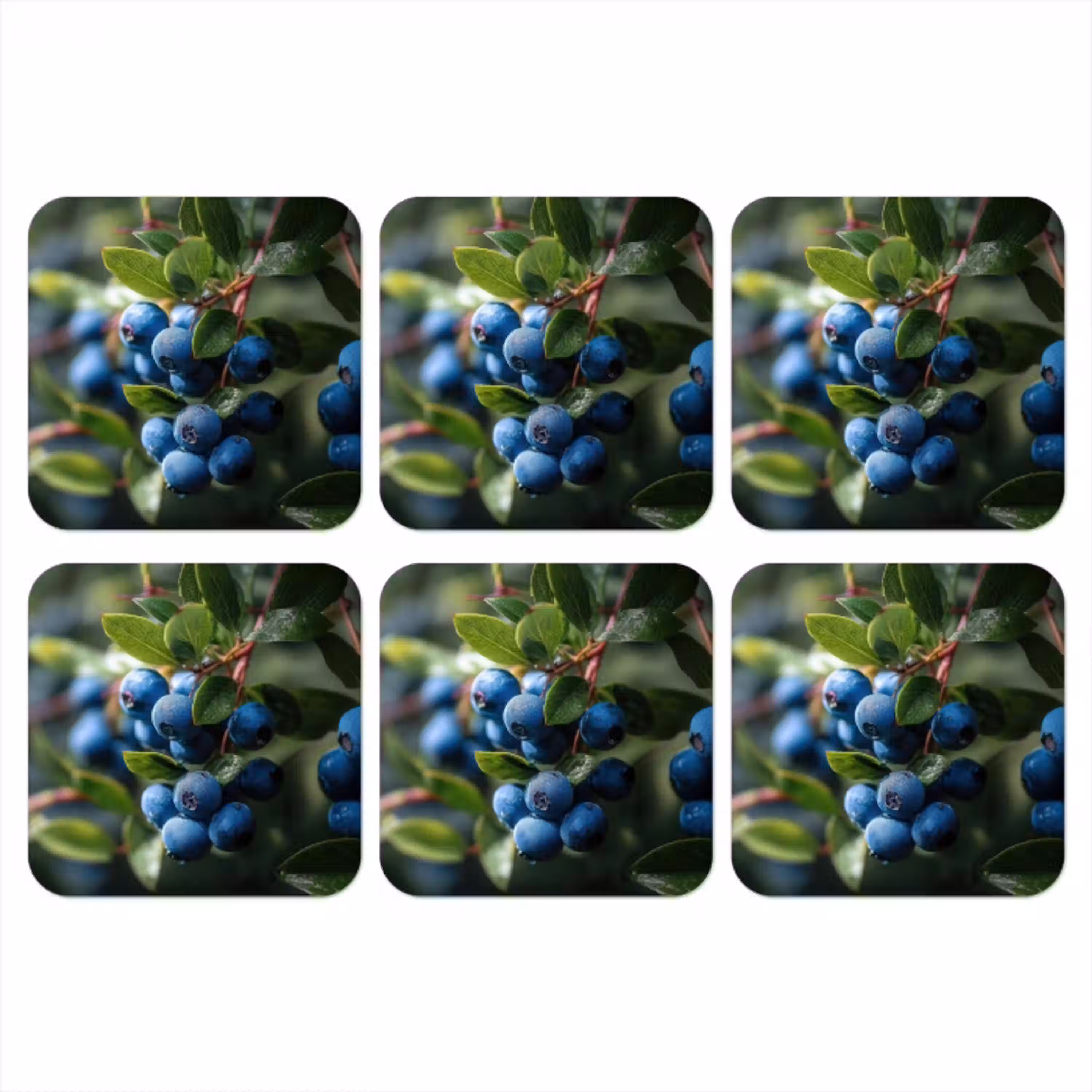 Blauwe bessen - Dauwdruppels - Natuurlijk licht onderzetter kurk middel -3d