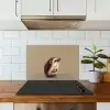 Egel - Snuitje - Bruin - Stekels keuken achterwand spatscherm klein -sfeer2