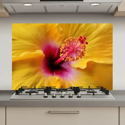 Geel - Hibiscus - Tropisch keuken achterwand spatscherm klein -3d_website